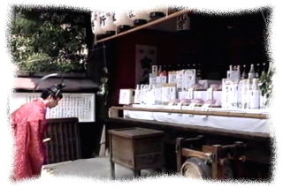 ���D�{�E�_��