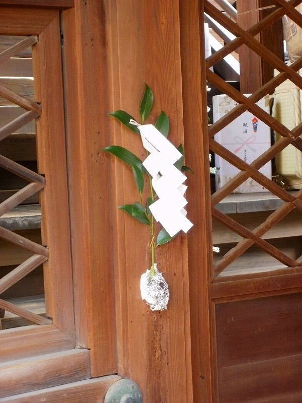 ���D�{�E�_��