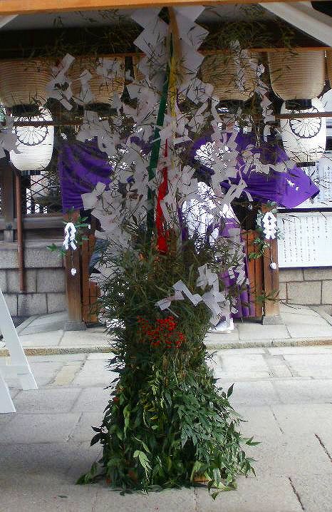 ���D�{�E�_��