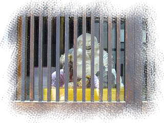 �����M������-�g��